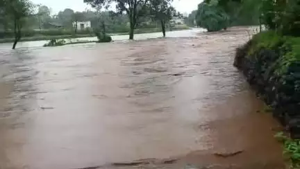 डिंडौरी: लालपुर गांव में भारी बारिश से साकुल नदी में उफान, यातायात बाधित, कई गांवों का संपर्क टूटा
