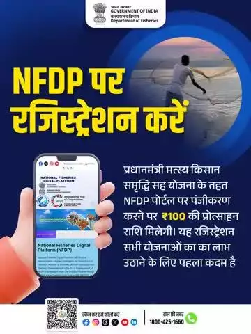 एनएफ़डीपी पोर्टल पर आज ही रजिस्ट्रेशन करें और पाएं ₹100 की प्रोत्साहन राशि!
प्रधानमंत्री मत्स्य किसान समृद्धि सह योजना के तहत जुड़ें डिजिटल प्लेटफॉर्म से और उठाएं सभी योजनाओं का लाभ।
अभी करें रजिस्ट्रेशन: ndfp.dof.gov.in
