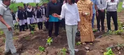 खंडवा नगर: हरियाली महोत्सव के तहत किशोर कुमार स्मारक क्षेत्र में लगभग 2000 पौधों का पौधारोपण