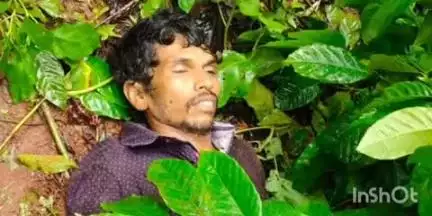 ಆಲೂರು: ಹೆಮ್ಮಿಗೆ ಗ್ರಾಮದಲ್ಲಿ ಮರಗಸಿ ಮಾಡುವ ವೇಳೆ ಮರದಿಂದ ಕೆಳಗೆ ಬಿದ್ದು ಕಾರ್ಮಿಕ ಸಾವು