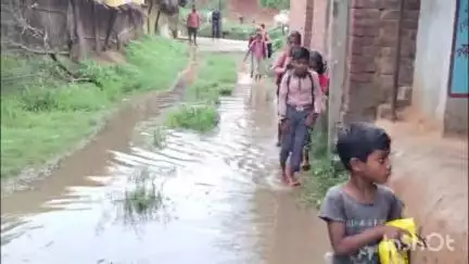 हरदोई: पकरी गांव में स्कूल जाने वाले रास्ते में जलभराव, पानी में घुसकर नौनिहाल स्कूल जाने को मजबूर, वीडियो सोशल मीडिया पर वायरल