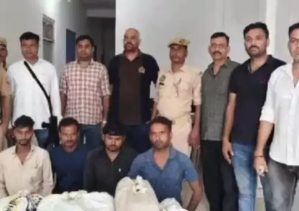 कानपुर: STF बरेली और सचेड़ी पुलिस ने 75 किलो अवैध गांजा पकड़ा, महिलाओं और बच्चों से डिग्री कॉलेज के पास सप्लाई कराते थे आरोपी