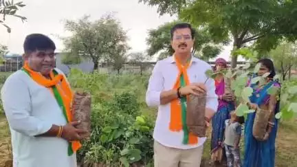 तारानगर: हरियालो राजस्थान अभियान के तहत 'एक पेड़ मां के नाम' मुहिम में ब्रह्मनगर में पौधारोपण का शुभारंभ, लगाए गए 300 पौधे