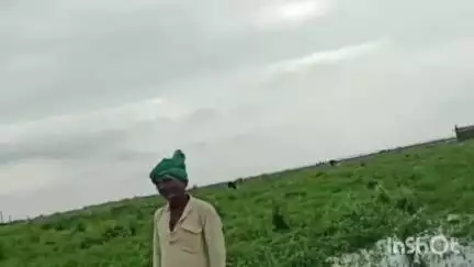 ब्रह्मपुर: गंगा नदी के जलस्तर में वृद्धि से नैनीजोर के दियारा इलाके के किसान परेशान, परिश्रम पर फिरा पानी