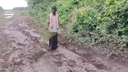 మడుపల్లిలో గోదావరి వరద ఉధృతికి పాడైపోయిన పంట, ఆదుకోవాలంటూ రైతు ఆవేదన