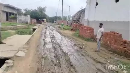 शाहजहांपुर: उदयपुर कटैया में दलदल बनी सड़क पर कीचड़ में बोए धान, ग्रामीणों ने जताया विरोध