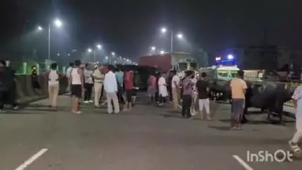 বর্ধমান ১: ১৯ নম্বর জাতীয় সড়ক মীরছোবা এলাকায় দাঁড়িয়ে থাকা মহিষ ভর্তি লরির পেছনে ধাক্কা মারলো অপর এক লড়ি