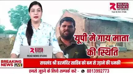 गाजीपुर की गौशाला में तड़प-तड़प कर मर रही गायें – गौसेवा के नाम पर मौत का मंजर!


---