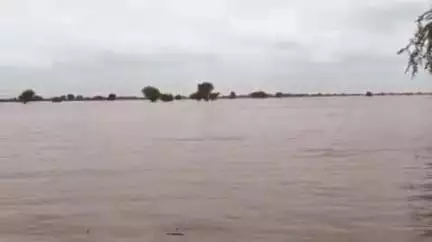 मारवाड़ जंक्शन: मारवाड़ जंक्शन में तेज बरसात के चलते जोगड़ावास एवं चिरपटिया बांध में पानी की आवक, दोनों बांध छलकने को आतुर