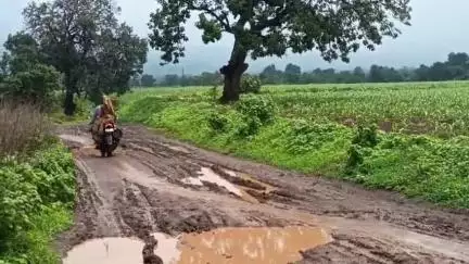 बड़वानी: आजादी के बाद विकसित भारत बनने तक के सफल में ग्राम चिचवानीया को रोड की दरकार, सरकार से लगाई गुहार#jansamaya