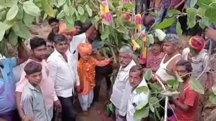 मारवाड़ जंक्शन: मारवाड़ जंक्शन के मेलाप गांव में बाल संत भक्ति दास जी महाराज ने कराया वृक्षारोपण, ग्रामवासियों को किया जागरूक
