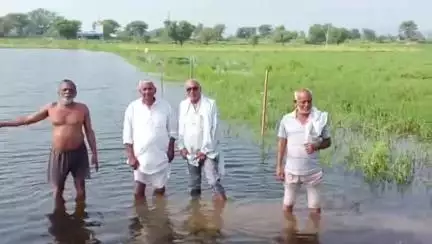 चरखी दादरी: बीजना से झोझूकलां रोड़ पर खेतों में जलभराव होने से किसानों की फसल हुई खराब, किसानों ने की मुआवजे की मांग #jansamasya