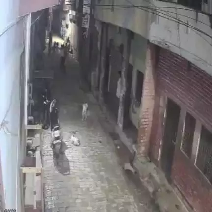 उन्नाव: गंगाघाट कोतवाली क्षेत्र में छात्रा के साथ छेड़छाड़ की शिकायत करने पर हुई मारपीट, घटना का सीसीटीवी वीडियो हुआ वायरल