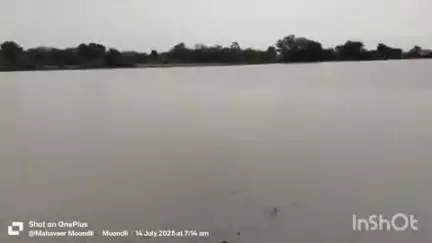 मांगरौल: कुंड मियाडा मार्ग पर खेतों में भरा तीन फीट पानी, किसानों ने पानी की निकासी की मांग को लेकर जिला कलेक्टर को सौंपा ज्ञापन