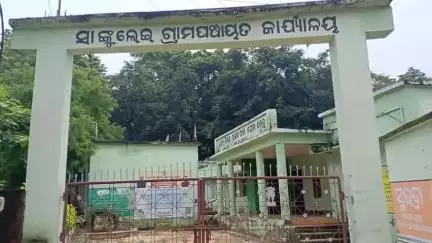 ଢେଙ୍କାନାଳ ସଦର: ସାଙ୍କୁଲେଇ ଗ୍ରାମରେ ଲଗାଣ ବର୍ଷା ପାଣିରେ ବୁଡିଲା ଧାନବିଲ, ଚିନ୍ତାରେ ଚାଷି, କ୍ଷତିପୁରଣ ଦାବି