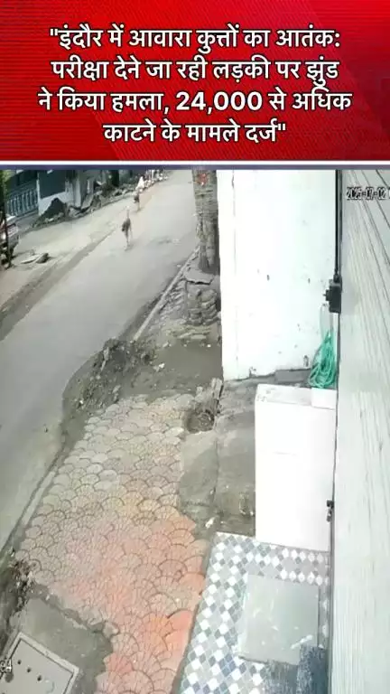 "#इंदौर में आवारा कुत्तों का आतंक: परीक्षा देने जा रही लड़की पर झुंड ने किया हमला