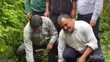 नैनीताल: DSB परिसर में पर्यावरण संवर्धन एवं संरक्षण के लोकपर्व हरेले तथा एक पेड़ मां के नाम पर हुआ पौधे रोपण कार्यक्रम