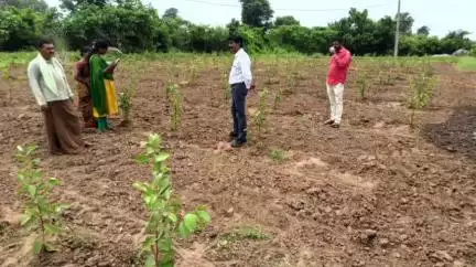 జన్నారం: రైతులు పండ్ల తోటల సాగుపై ఆసక్తి పెంచుకోవాలి: ఏపీఓ రవీందర్