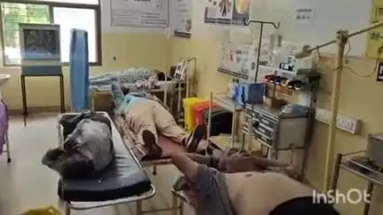 किशनगढ़: सिलोरा हाईवे क्षेत्र, उदयपुर कला गांव में मधुमक्खियों के हमले से परिवार के चार लोग गंभीर घायल, घूमने आया था परिवार