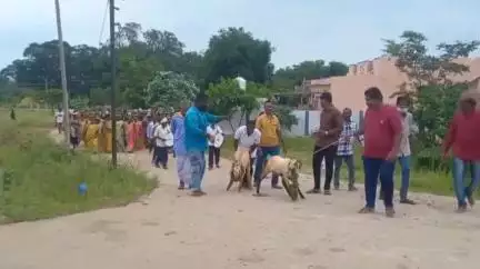 ఖానాపూర్: కడెం మండలకేంద్రంలో కన్నుల పండుగగా గంగమ్మ తల్లి బోనాల పండుగ ఉత్సవాలు