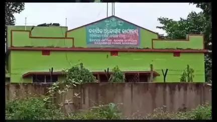 ପରଜଙ୍ଗ: ପରଜଙ୍ଗ ସାଆନ୍ଦା ଅଁଳାକଟା ଅଞ୍ଚଳରେ ଦେଖା ଦେଇଛି ହାତୀପଲ ଅଞ୍ଚଳବାସି ଭୟଭିତ ।