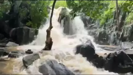 चाकुलिया: घाघरा में बारिश से घाघ झरना में फिर लौटी रौनक, 40 फीट की ऊँचाई से गिर रहा है दूधिया पानी