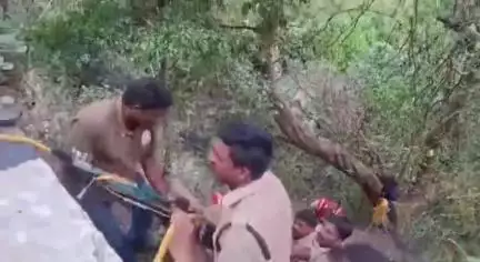 తిరుమల అవ్వచారి కోనలోకి దూకిన వ్యక్తిని విజిలెన్స్ అధికారులు సాహసోపేతంగా బయటకు ఎలా తీసారో చూడండి