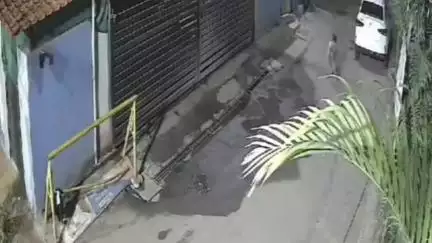 इंदौर: माणिक बाग इलाके में फिर डॉग बाइट का मामला, दो बच्चों को काटा, सीसीटीवी में कैद