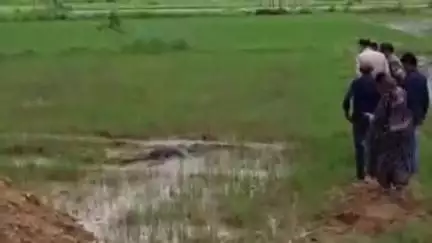सरायकेला: केंदपोसी में संपत्ति को लेकर दो भाइयों के बीच हुआ विवाद, एक की पत्थर से कुचलकर हत्या