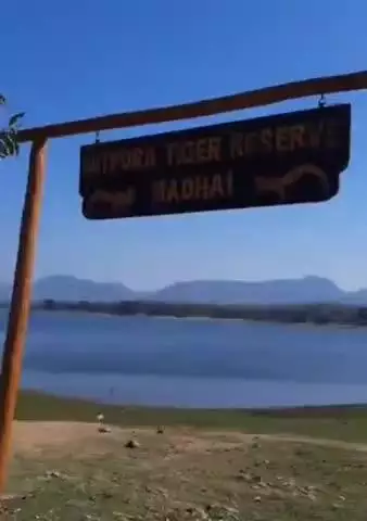 माखन नगर के बागड़ा एसटीआर में व्यस्क तेंदुए का सड़ा-गला शव मिला, बड़े जानवर से संघर्ष की आशंका