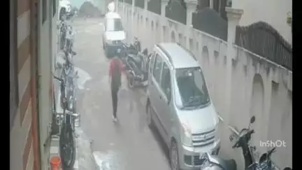 इंदौर: एयरपोर्ट रोड के व्यंकटेश नगर में श्वानों के झुंड ने फिर युवती पर किया हमला, वीडियो वायरल