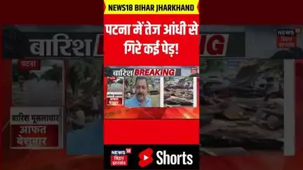 #shorts: पटना में तेज आंधी से गिरे कई पेड़! | Patna News | Breaking News | Latest News