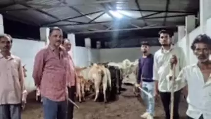 ढीमरखेड़ा: कलेक्टर दिलीप कुमार यादव के निर्देशन में उमरियापान सचिव सतीश गौतम की पहल