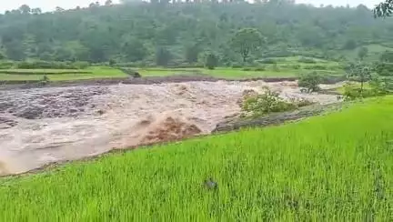डिंडौरी: घुंडीसरई बांध से पानी छोड़े जाने से किसानों की फसलें बर्बाद, किसान परेशान