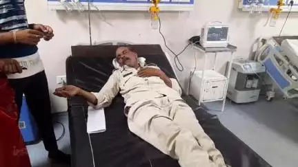 बरही: ग्राम पडवार के पास तेज रफ्तार बाइक अनियंत्रित होने से वनरक्षक घायल, अस्पताल में भर्ती