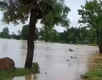 तालबेहट: मूसलाधार बारिश के कारण बछरावनी गांव में बाढ़ जैसे हालात, किसानों की फसलें पूरी तरह जलमग्न; प्रशासन से लगाई मदद की गुहार