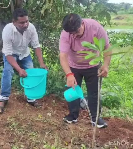 धमतरी: रुद्री-गंगरेल मार्ग पर एक पेड़ मां के नाम अभियान के तहत किया गया पौधारोपण