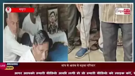 महावन थाना क्षेत्र के सिहोरा गांव में एक ही परिवार के तीन लोगों को सांप ने डसा, परिवार दहशत में
