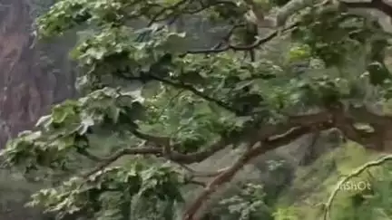 महू पातालपानी से कला कुंड के बीच हेरिटेज ट्रेन का ट्रायल हुआ, जल्द जनता के लिए होगी शुरू