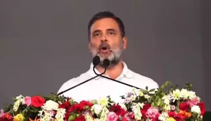 आप लोग कांग्रेस पार्टी के शेर-शेरनियां हैं। शेर और शेरनियां किसी से भी नहीं डरते हैं।