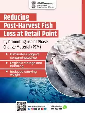 Prioritising hygiene to minimise post harvest losses
The Department of Fisheries is promoting Phase Change Material (PCM) to reduce post-harvest fish loss at retail points.