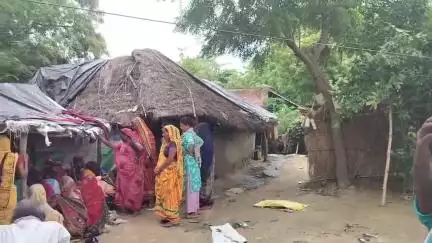 महमूदाबाद: अल्लीपुर में सांप काटने से युवक की मौत, परिवार में मचा कोहराम, पैसा ना होने पर डॉक्टर ने नहीं किया इलाज