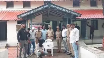 अमरावती: टिपू सुलतान मार्केटजवळ पिस्तुलाने दहशत निर्माण करणारा इसम गाडगेनगर पोलीसांच्या जाळ्यात; देशी बनावटीचे पिस्तुल जप्त