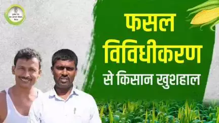 बिहार सरकार के प्रयासों से आज बिहार का कृषि क्षेत्र विकास की नई ऊंचाइयों को छू रहा है।