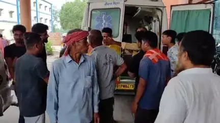 बेतिया: गोवर्धना में भालू के हमले में व्यक्ति गंभीर रूप से घायल, जीएमसीएच में भर्ती, हालत चिंताजनक होने पर पटना रेफर