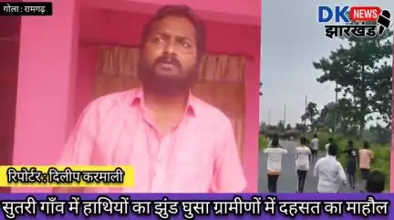 गोला क्षेत्र : सुतरी गाँव में हाथियों का झुंड घुसा ग्रामीणों में दहसत का माहौल  #dknewsjharkhand