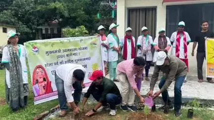 बागेश्वर: हरेला त्योहार के उपलक्ष्य में मुख्यमंत्री उद्यमशाला परिसर कठायतबाड़ा बागेश्वर में फलदार पौधों का किया गया रोपण