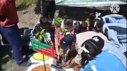 टिहरी: हरेला पर्व पर जिलाधिकारी नितिका खंडेलवाल ने पर्यटक स्थल शिवपुरी में किया वृहद पौधारोपण, 56000 पौधों का किया जाएगा रोपण