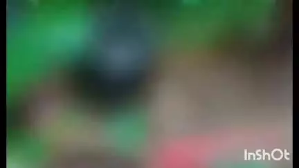 റാന്നി: വെച്ചൂച്ചിറയിൽ കുടുംബ വഴക്കിനിടെ ഭാര്യ മാതാവിനെ യുവാവ് മൺവെട്ടി കൊണ്ട് അടിച്ച് കൊന്നു, പ്രതി കസ്റ്റഡിയിൽ