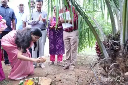 వేలేరు: ఆయిల్ పామ్ పంట సాగుతో అధిక లాభాలు హనుమకొండ జిల్లా కలెక్టర్  గుండ్ల సాగర్ లో  మొదటి కొత్త ప్రారంభ కార్యక్రమం